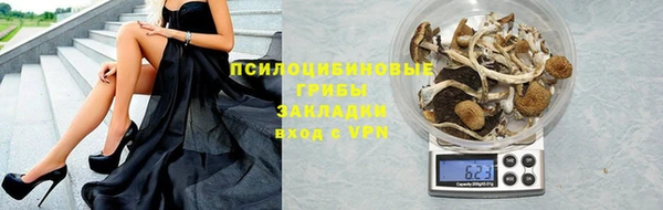 гидропоника Богородск