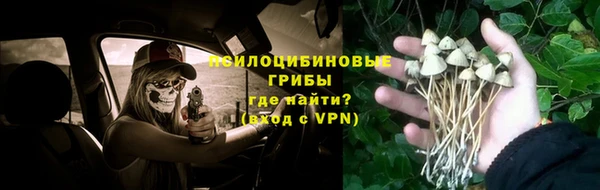 MESCALINE Богданович