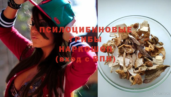 прущие крисы Богородицк