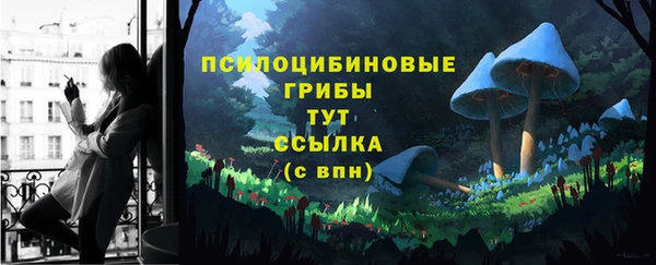 гидропоника Богородск