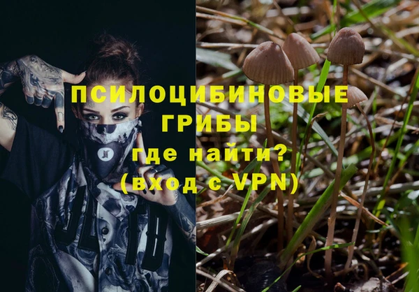 гидропоника Богородск