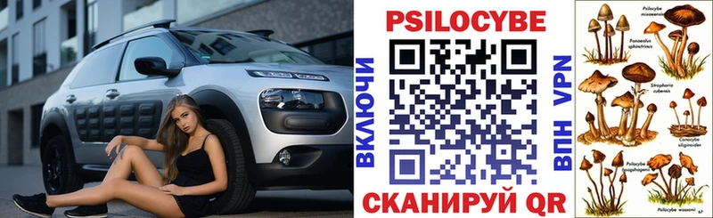 Купить закладки  Михайловка  Галлюциногенные грибы Psilocybe 